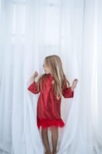 Noel Red Shining Star - Görsel 2